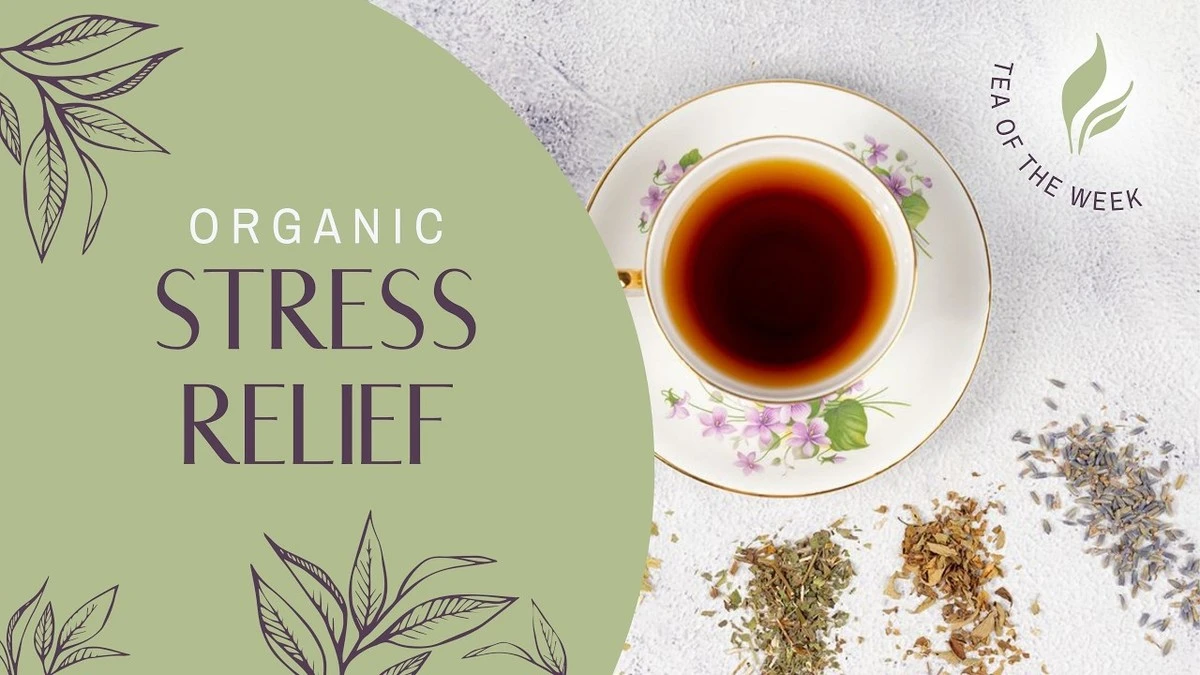 estahierbatesal-extra-1.webp Esta hierba te salva del estrés y la ansiedad: Pruébala en tu rutina nocturna - image 1