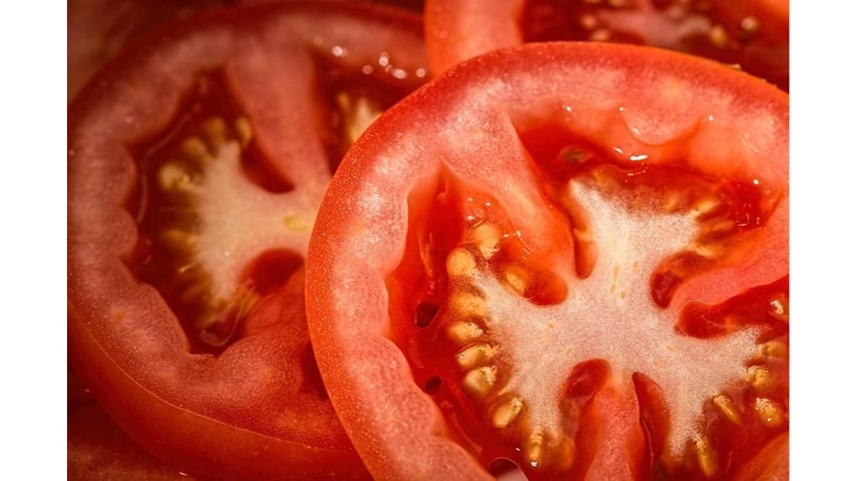 Por qué tus tomates triplicarán su cosecha si siembras con esta regla de 7 semanas