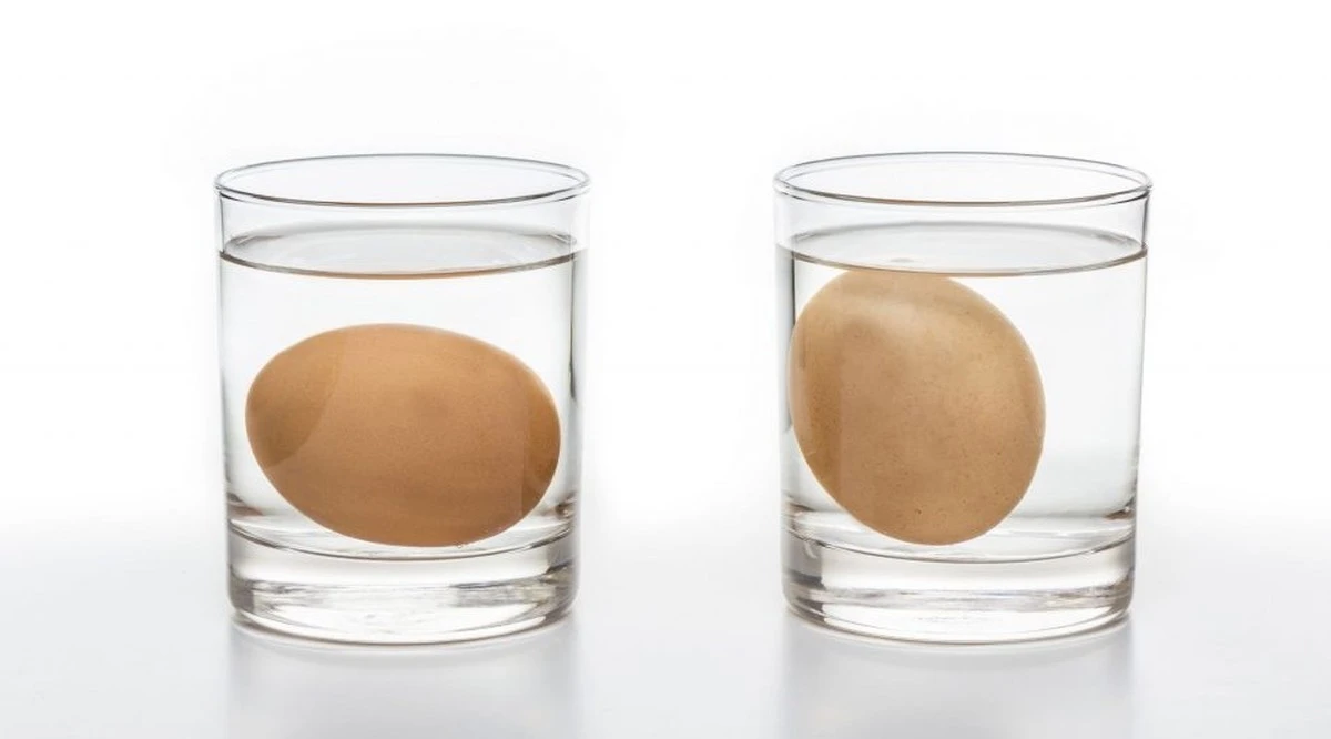 La experta en alimentos revisó mi nevera: 