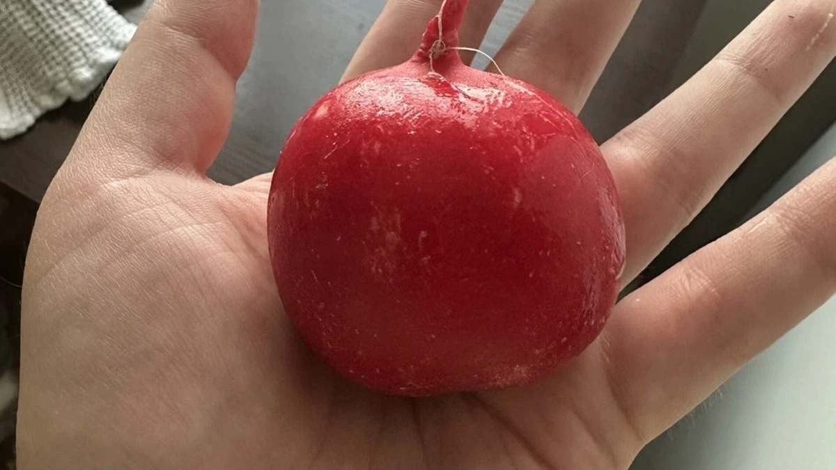 3 tazas de ceniza + 9 litros de agua = rábanos espectaculares que nunca creí posibles