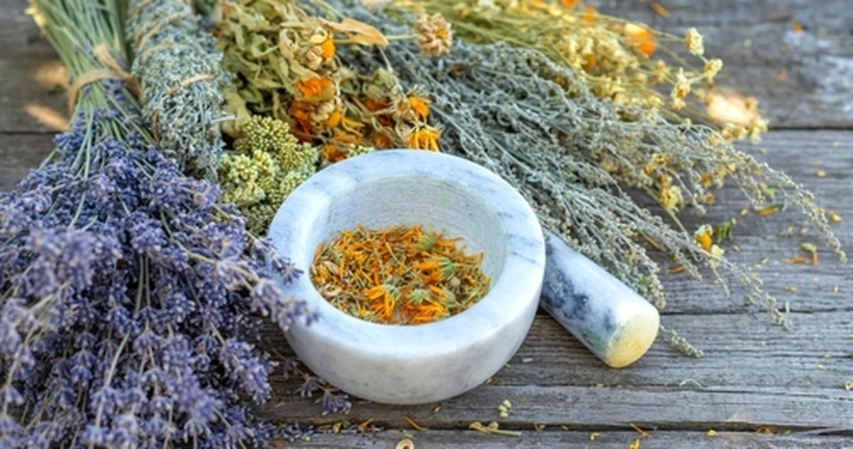 La farmacia me dio hierbas para el estómago en lugar de pastillas y el alivio fue instantáneo