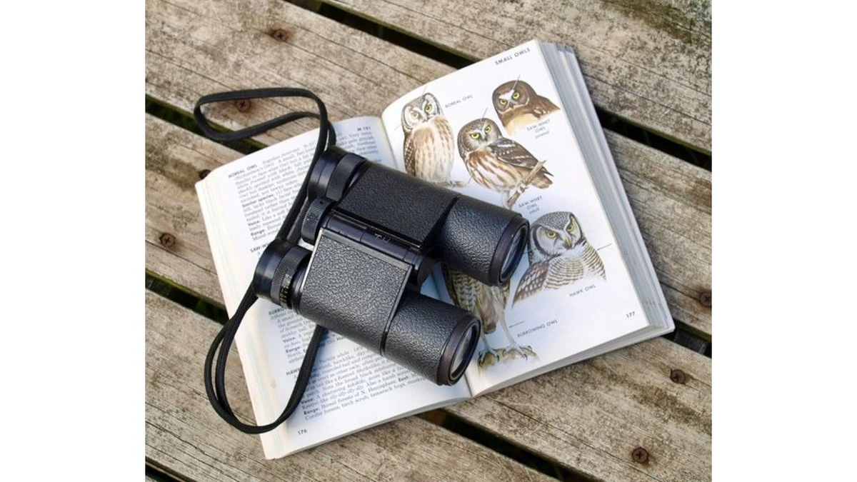 El pasatiempo que protege tu cerebro mejor que los crucigramas, según un neurólogo