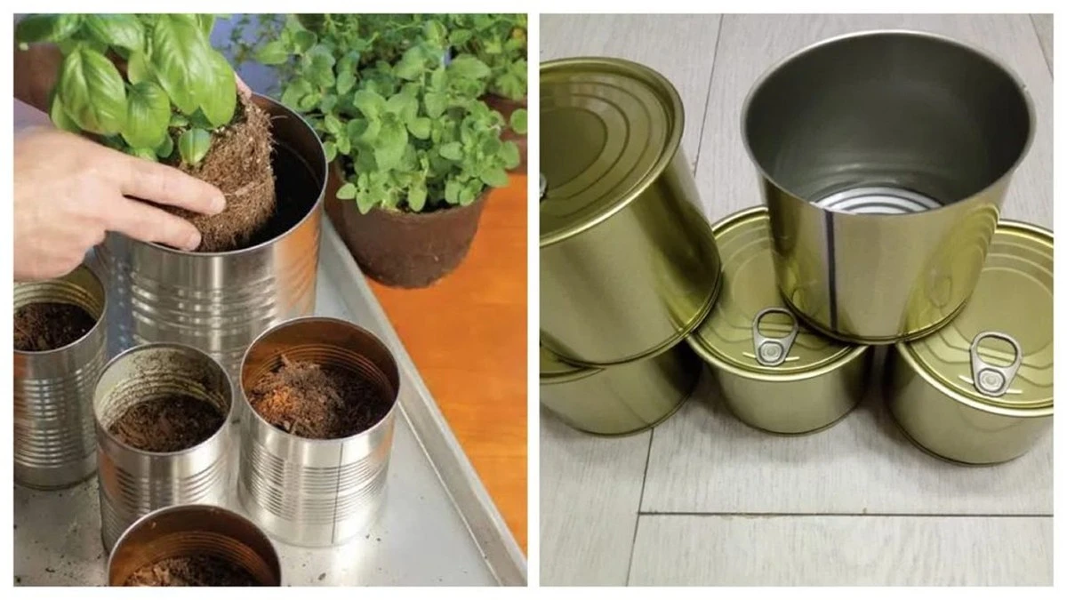 No tires tus frascos de mermelada vacíos: úsalos al 100% como tesoro de jardinería en primavera.