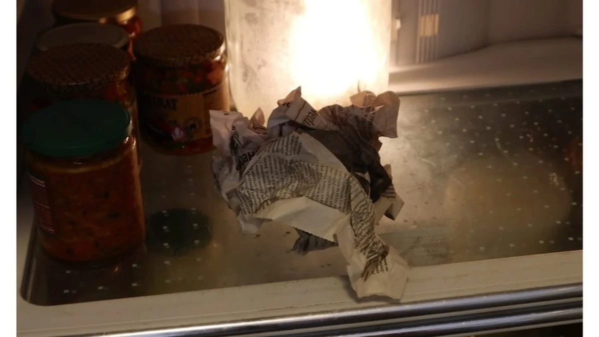 Tres trucos de abuela: así mantengo mi nevera fresca y mis verduras crujientes con solo tres cosas