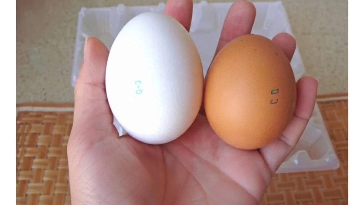 Blancos vs. Marrones: La verdad sobre los huevos que los expertos revelan