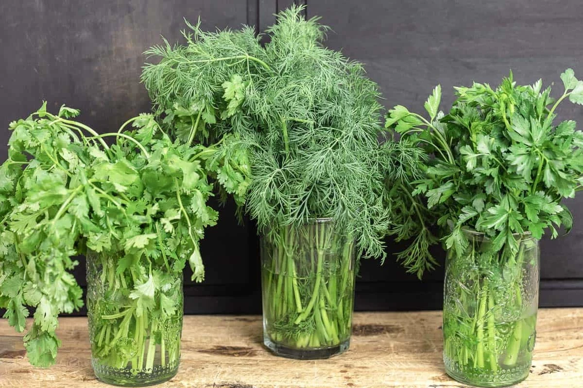 Por qué los cocineros expertos guardan las hierbas aromáticas en aceite en lugar de congelarlas - image 1