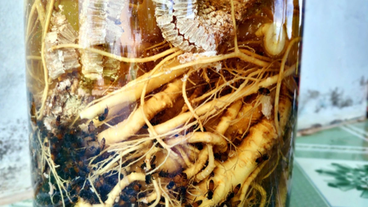 Por qué los coreanos consumen este producto a diario: Su secreto para una salud duradera y energía constante