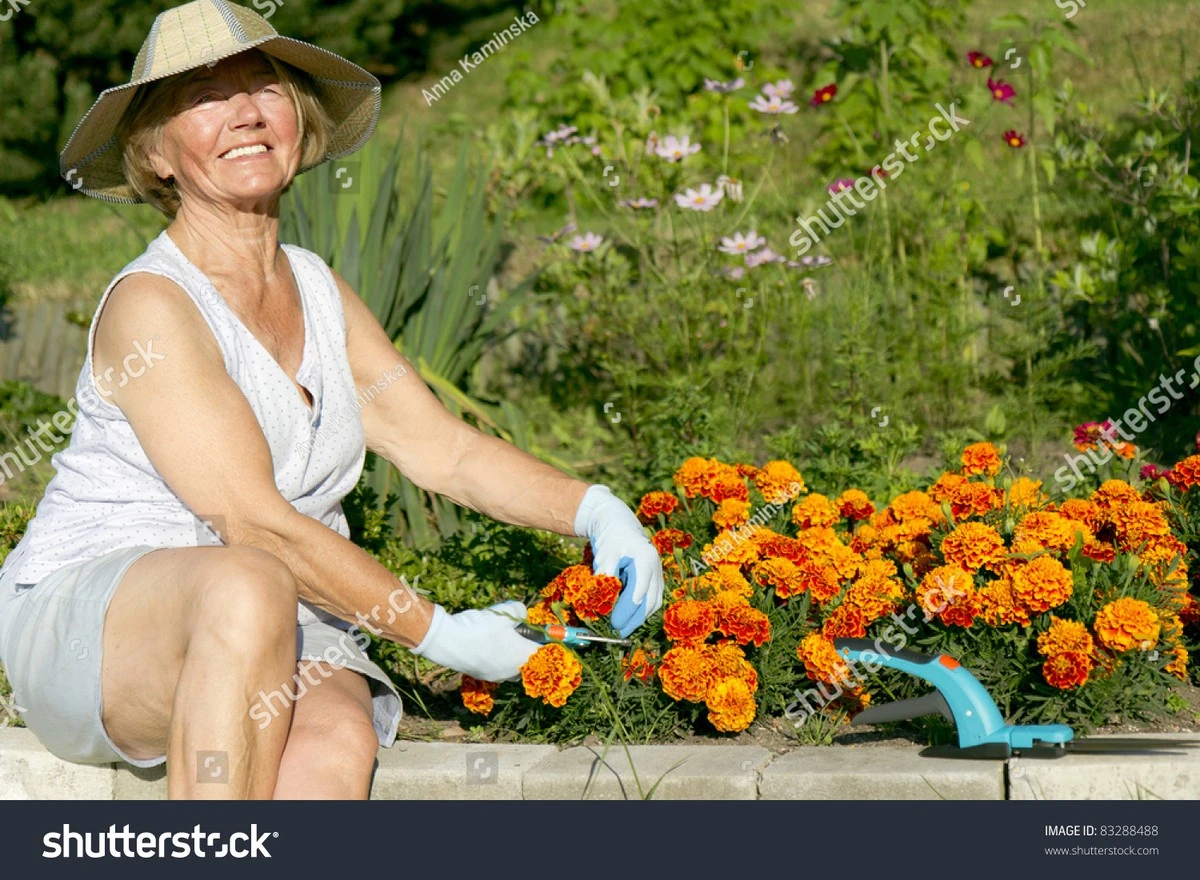 78anosymemoriad-extra-1.webp 78 años y memoria de elefante: la infusión secreta de mi vecina que te sorprenderá - image 1