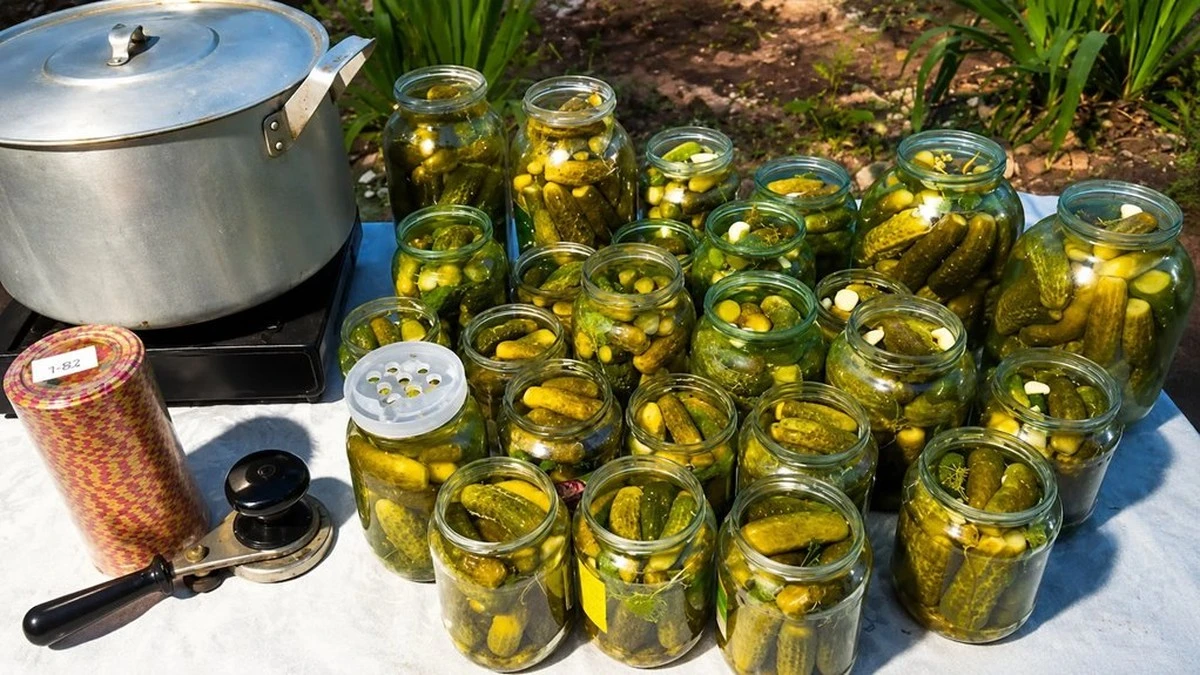 El truco de Tanja para que los pepinillos caseros siempre queden crujientes