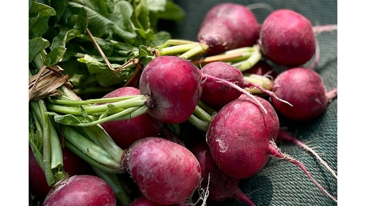 Por qué mis vecinos pidieron mis semillas en mayo, si los vieron sembrar en abril