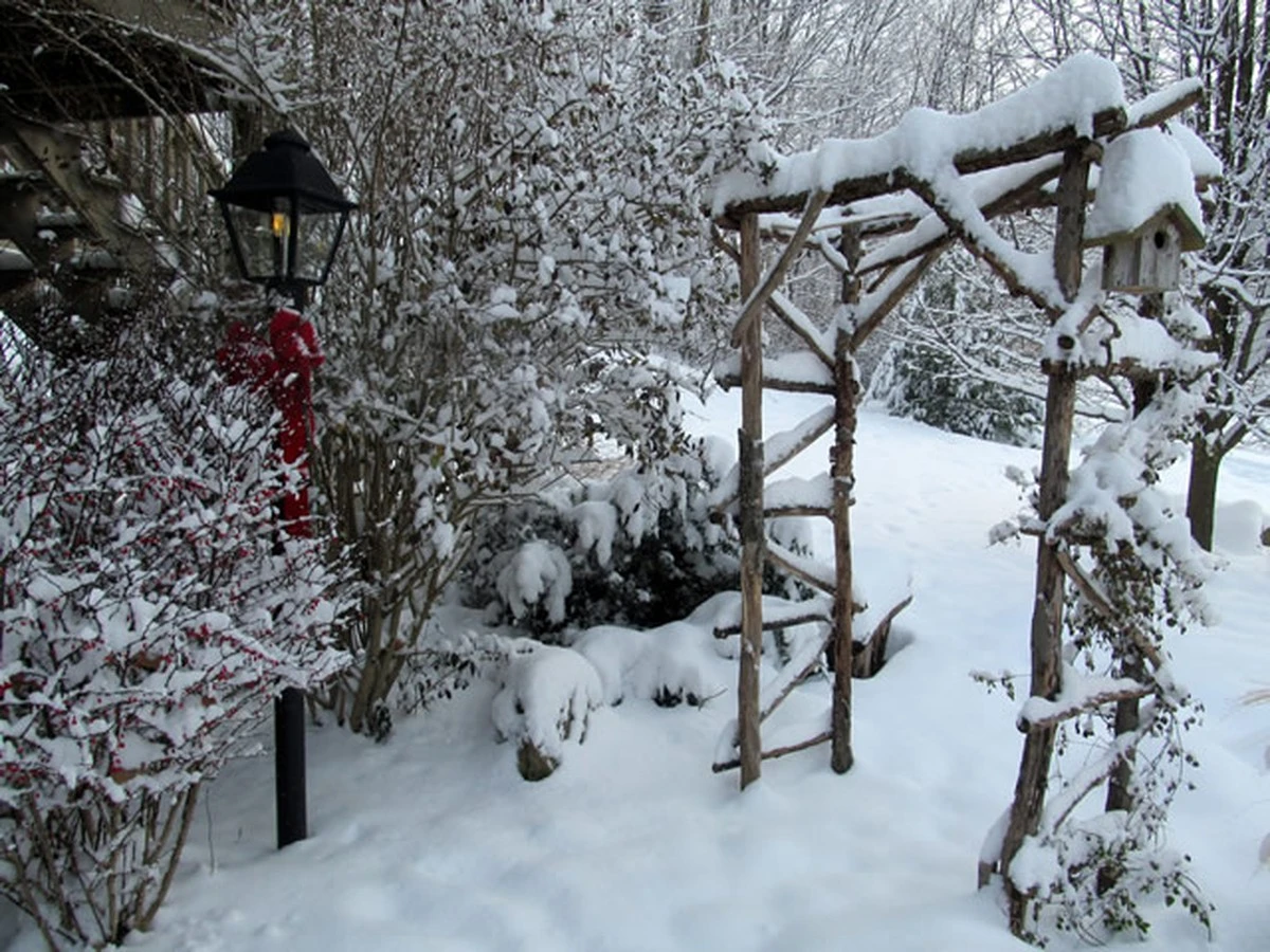 Por qué los jardineros experimentados no quitan la nieve de sus bancales: el resultado en primavera lo dice todo - image 1