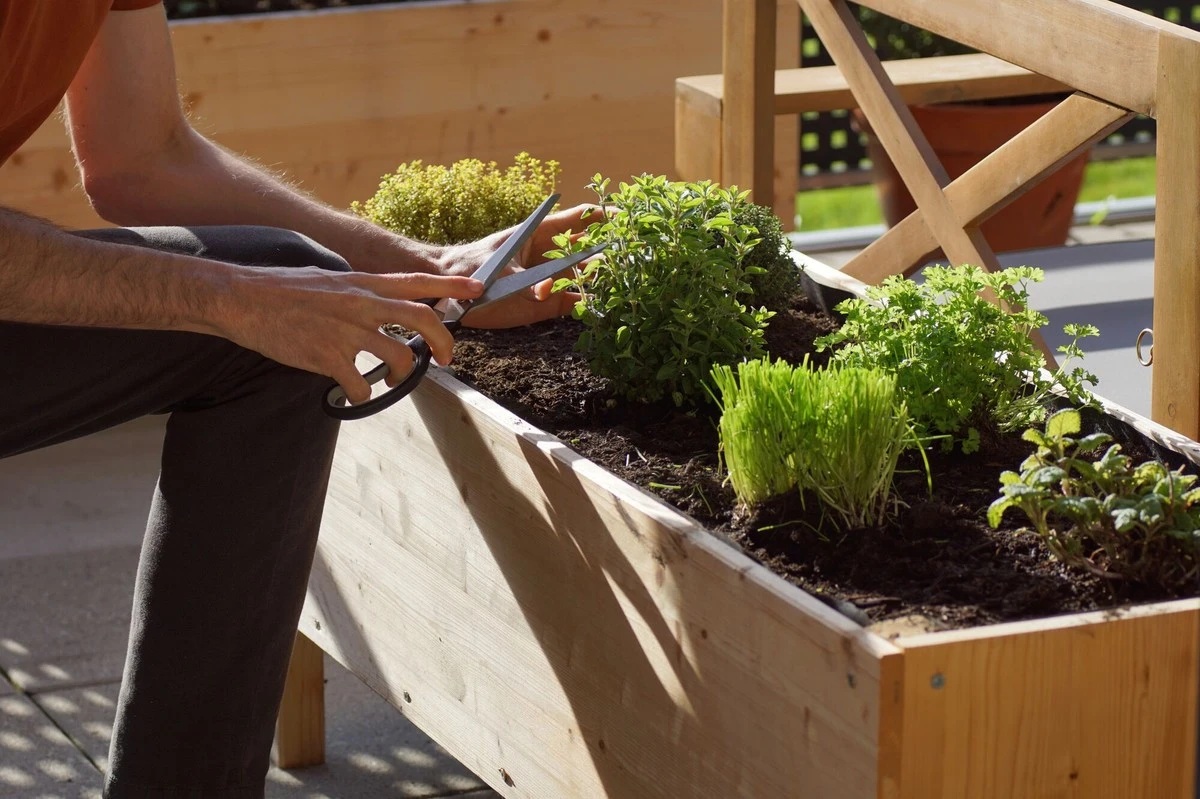Por qué los expertos en jardinería añaden 15 cucharadas de este fertilizante a su barril de riego en junio - image 1