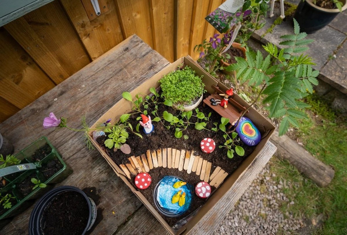 lasorprendentet-extra-1.webp La sorprendente técnica de las cajas de zapatos para transformar tu huerto - image 1