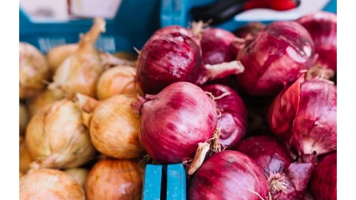 4 trucos para elegir siempre cebollas frescas que los vendedores no te cuentan