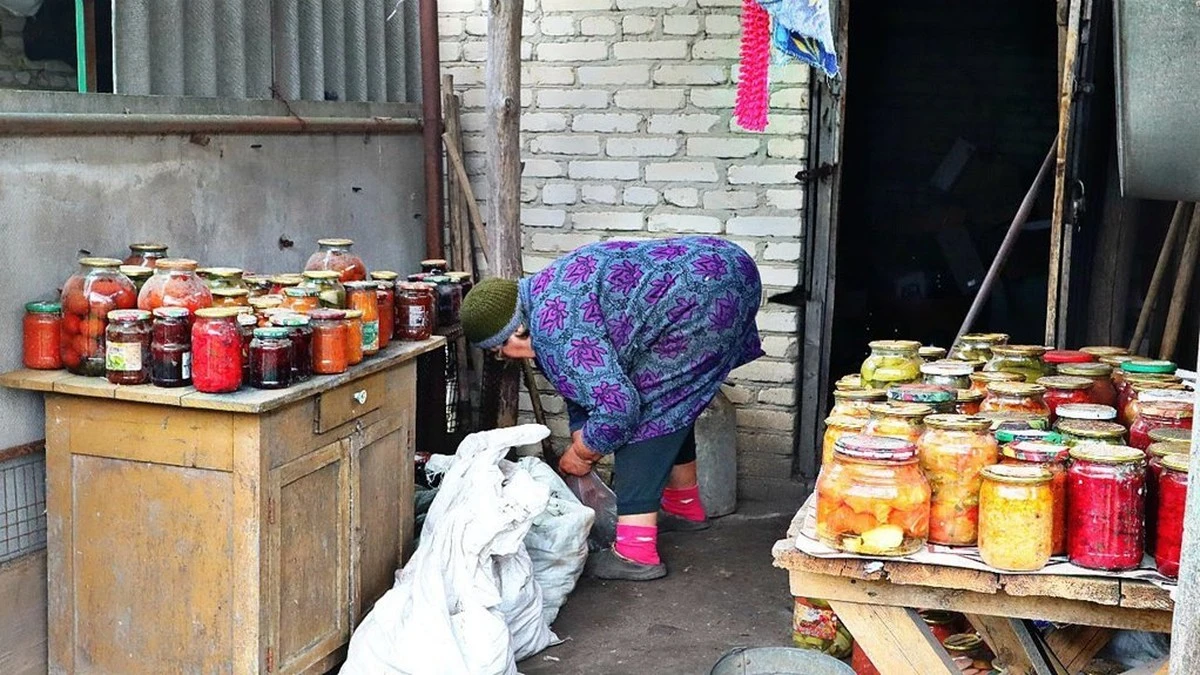 La tierra de diatomeas: el secreto de 5 euros para un sótano seco en 7 días