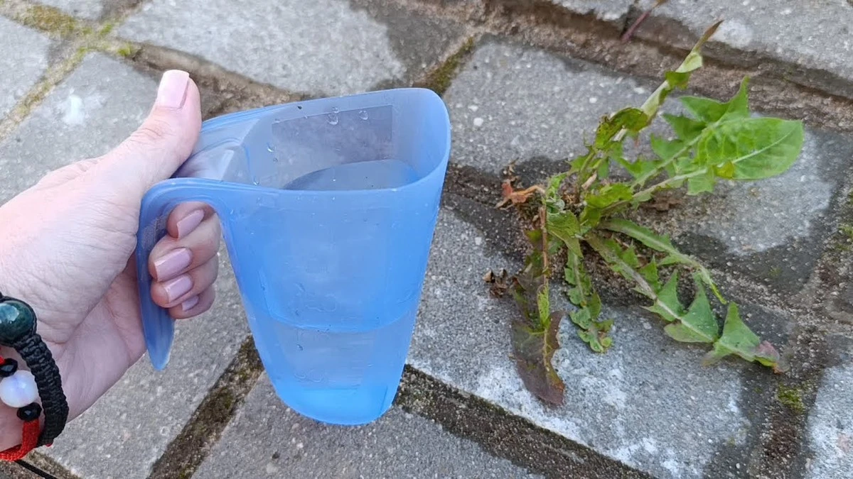 Probé un remedio casero para las malas hierbas: esto es lo que realmente sucedió