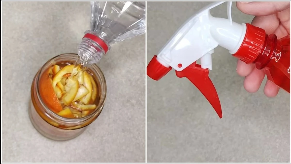 Limpia tu casa entera con 4 pieles de mandarina: El truco viral que elimina químicos