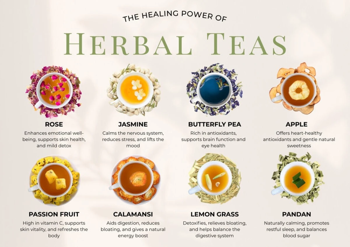 Menta y romero: la combinación secreta que sentí tras 3 días - image 1