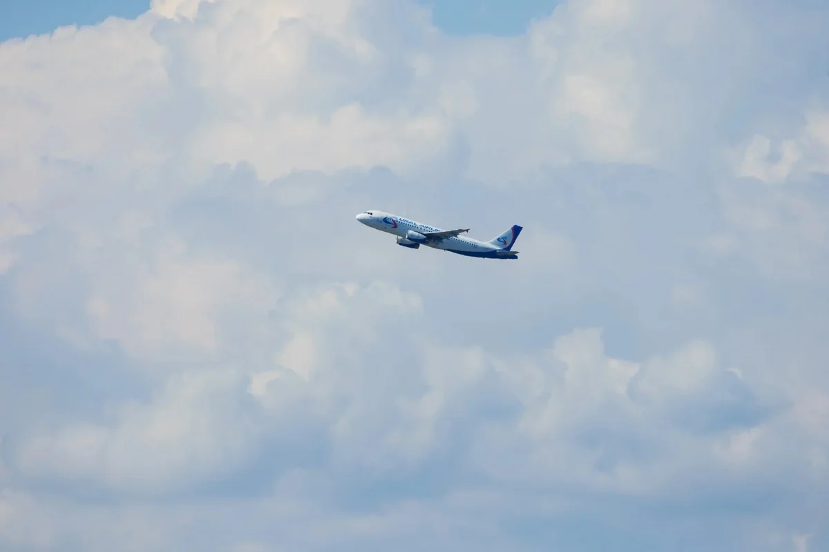 ¿Qué pasa si no te presentas a tu vuelo después del último llamado? Lo intentamos y no es una buena idea