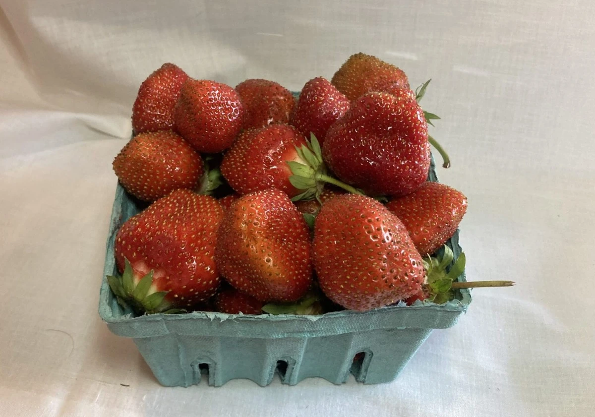 El secreto para unas fresas gigantes y dulces está en este riego de junio - image 1