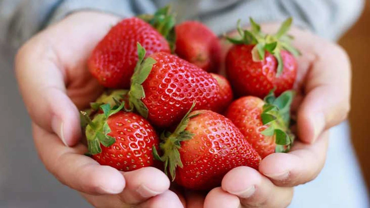 El truco de la botella para conservar fresas frescas todo el año - image 1