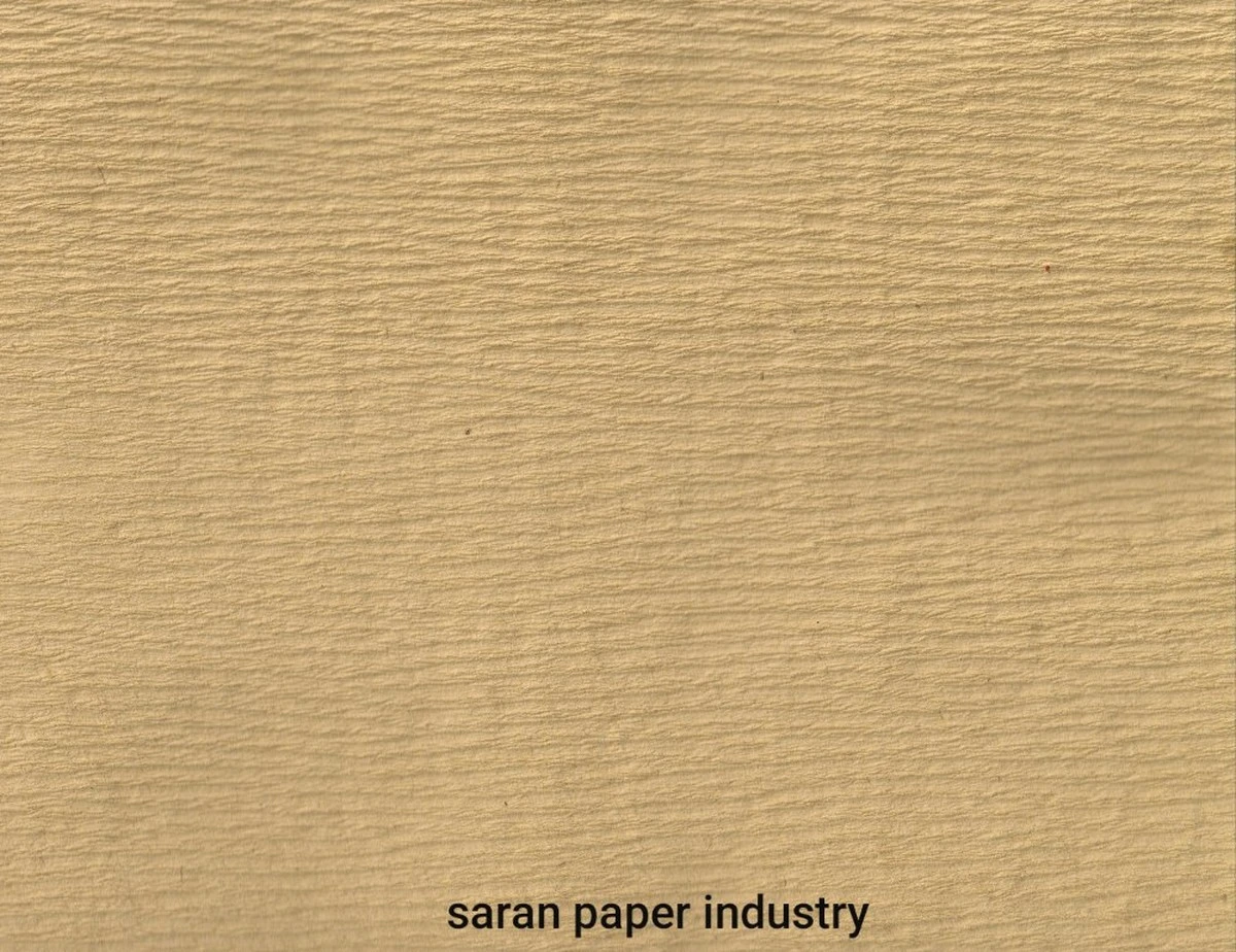 Saca el máximo partido a tus semillas: el truco del papel doblado para que no se pudra - image 1