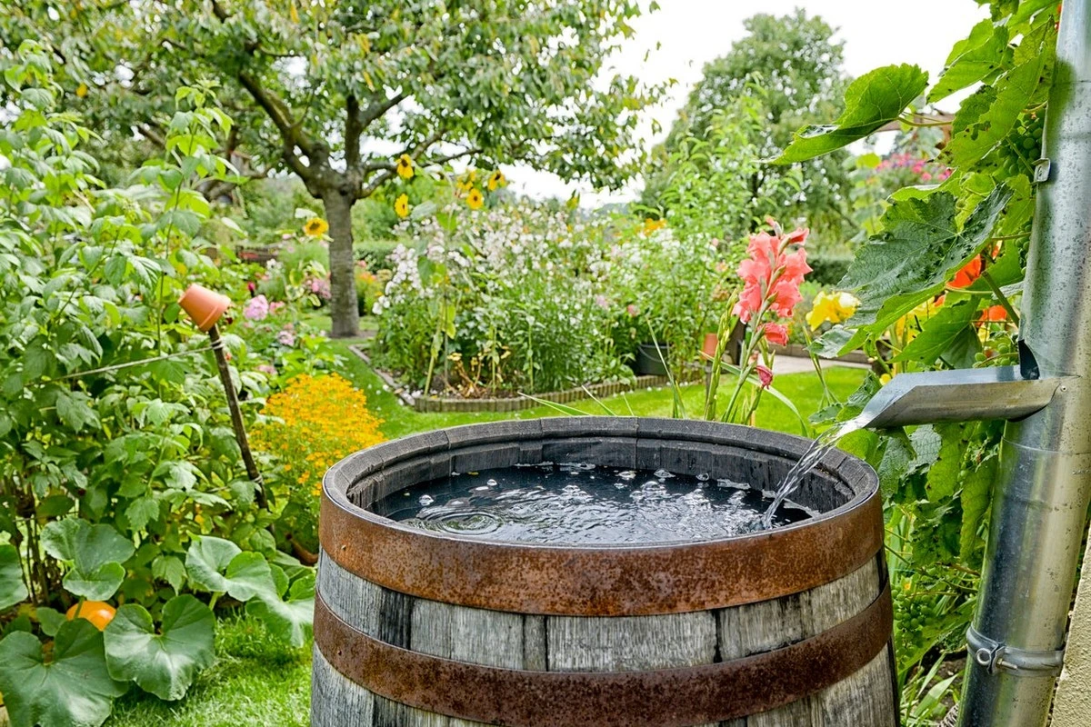 Por qué los jardineros experimentados dejan una botella de plástico en sus barriles de agua en invierno - image 1