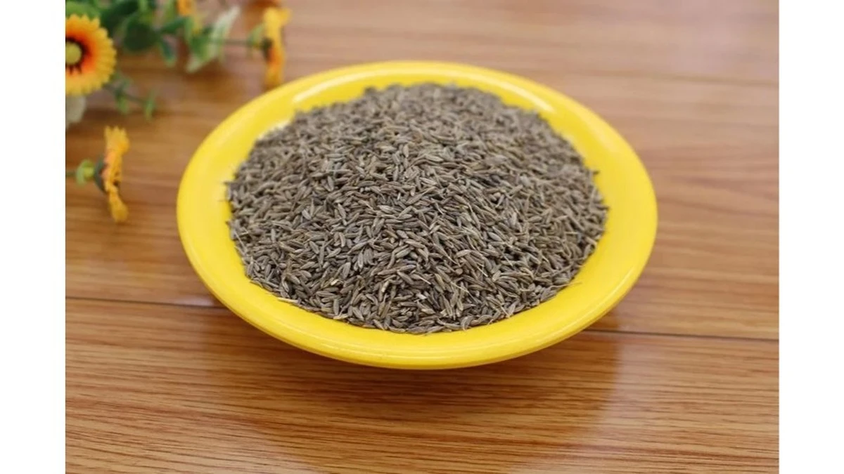 El secreto milenario: la "planta de Dios" que cura casi todo según la fe y la ciencia