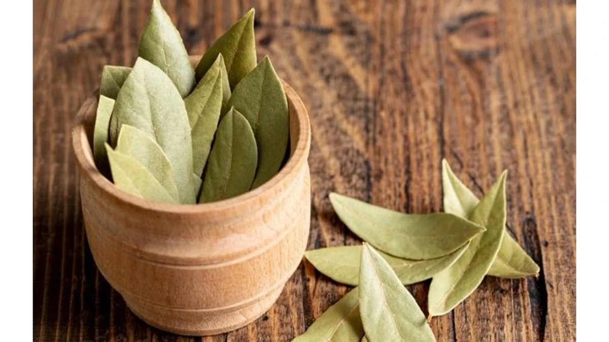 Por qué deberías poner una hoja de laurel bajo tu almohada esta noche