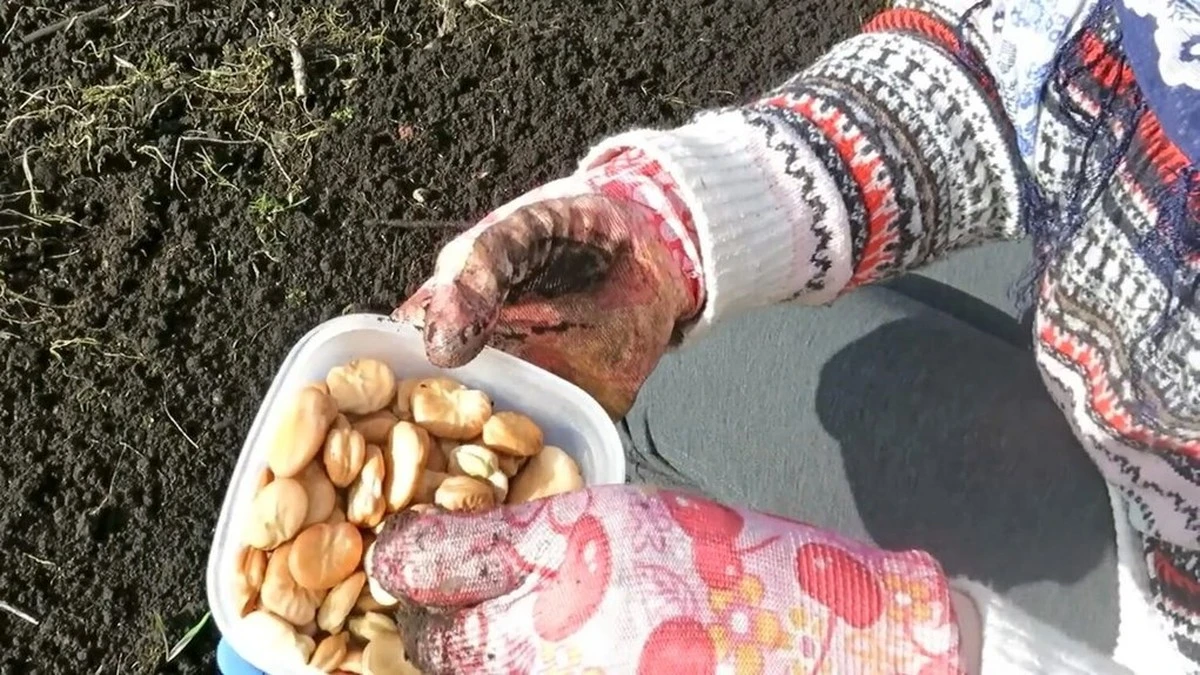 7 Cultivos que aún puedes sembrar a finales de marzo sin importar tu experiencia