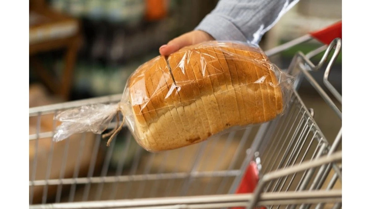 Elige tu pan de molde con cuidado: la inspección clave que evita el moho invisible