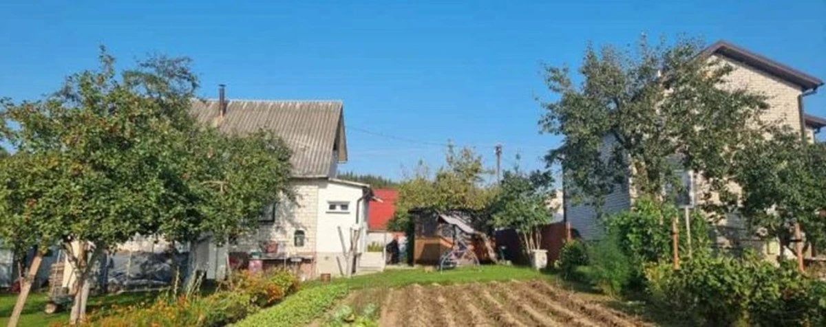 Por qué deberías dejar de usar abono: este cultivo restaura cualquier suelo en una temporada