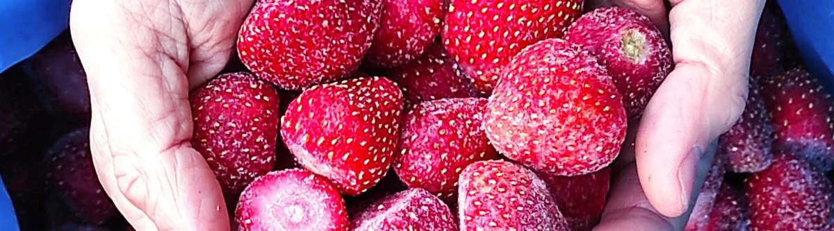 elerrorenelcong-extra-1.webp El error en el congelador que arruina tus fresas cada verano - image 1