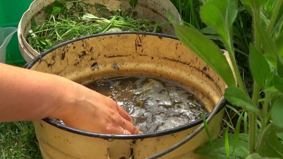 Treinta años arrancando malas hierbas y tirándolas, hasta que un viejo jardinero me enseñó qué hacer con ellas.