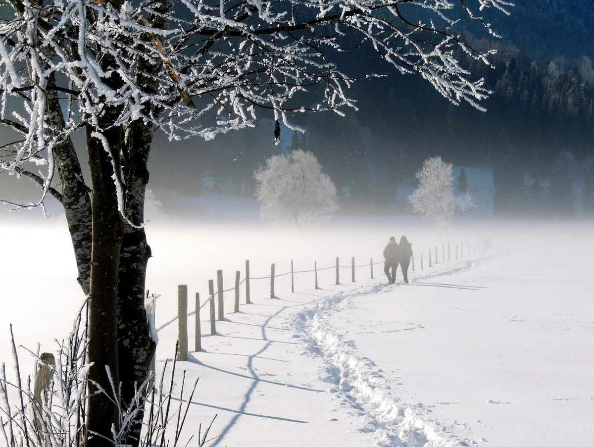 Por qué tus neuronas se activan al caminar sobre nieve: el sorprendente efecto descubierto por la ciencia - image 1