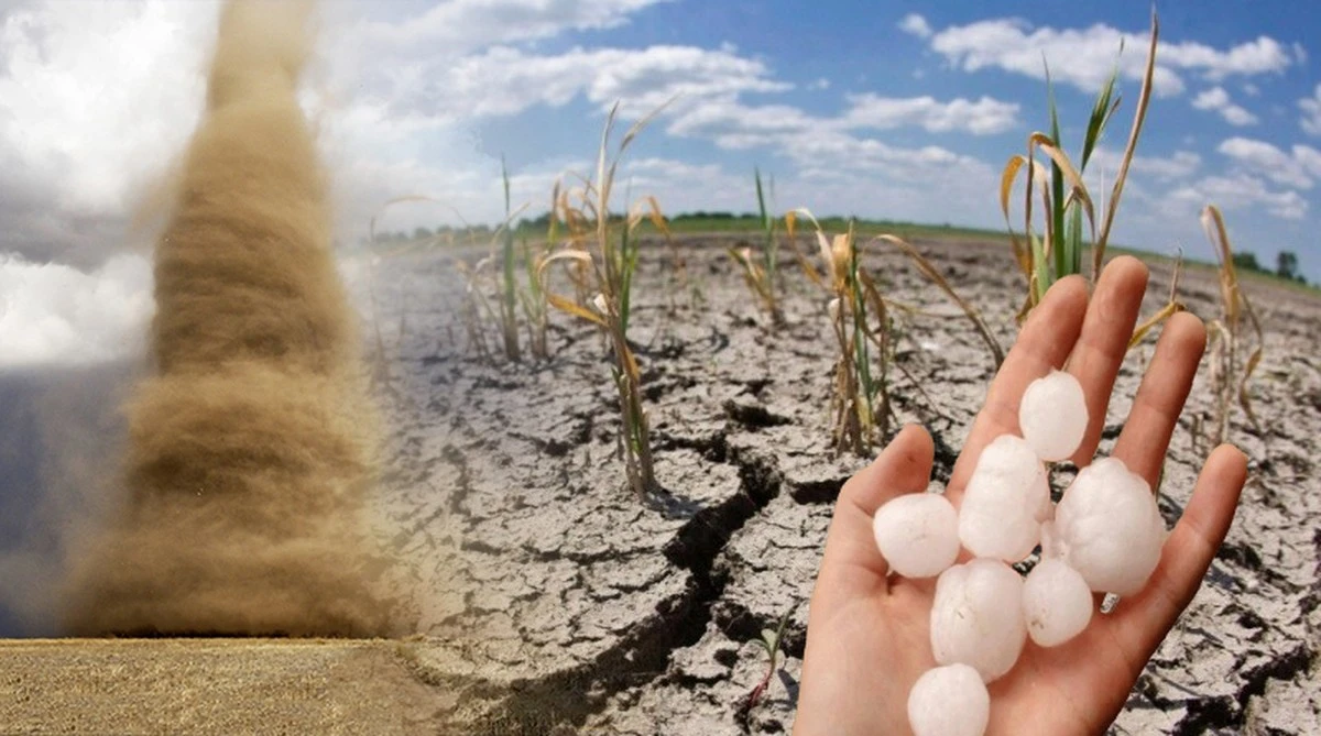 Por qué el pronóstico del verano de 2026 es el más difícil de predecir