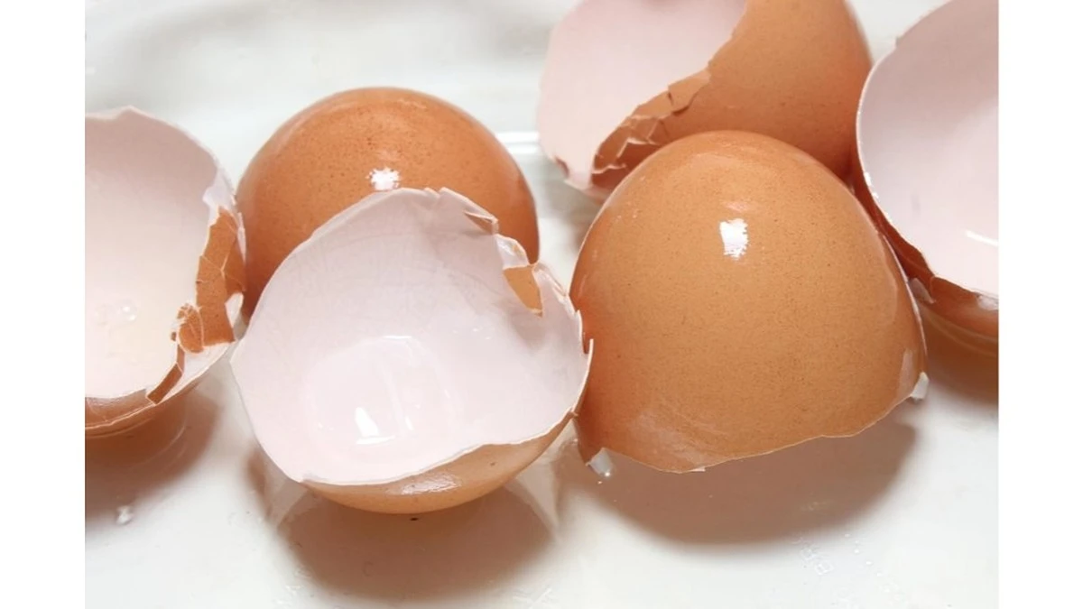 Tus cáscaras de huevo molidas transformarán tu café y limpieza: el secreto que pocos conocen