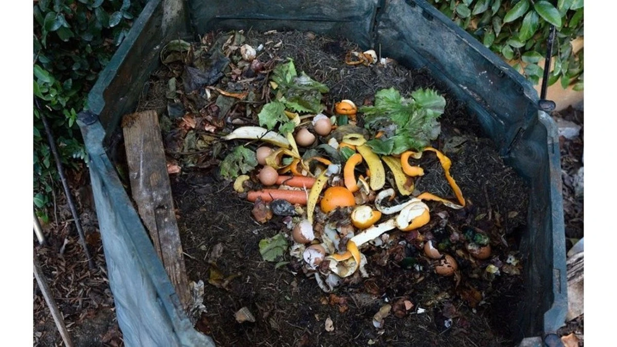 El truco de las semillas de trigo sarraceno acelerará tu compost en dos meses