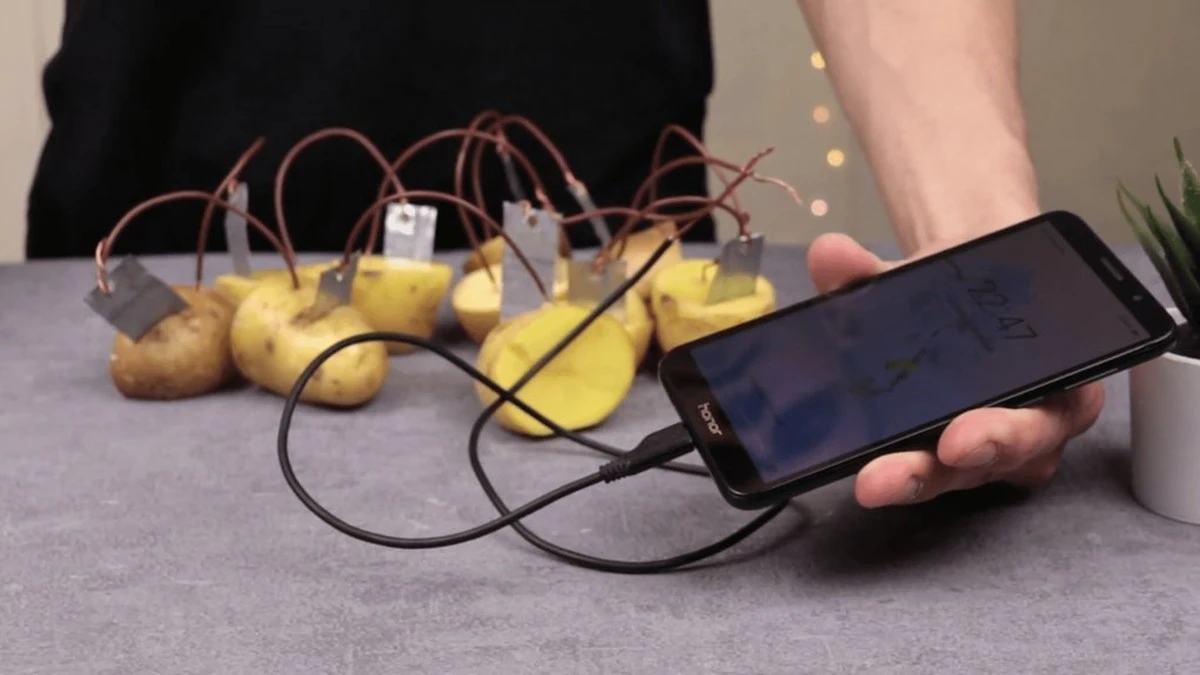 Cómo las papas cargaron mi teléfono (y la curiosa reacción de mi vecino)