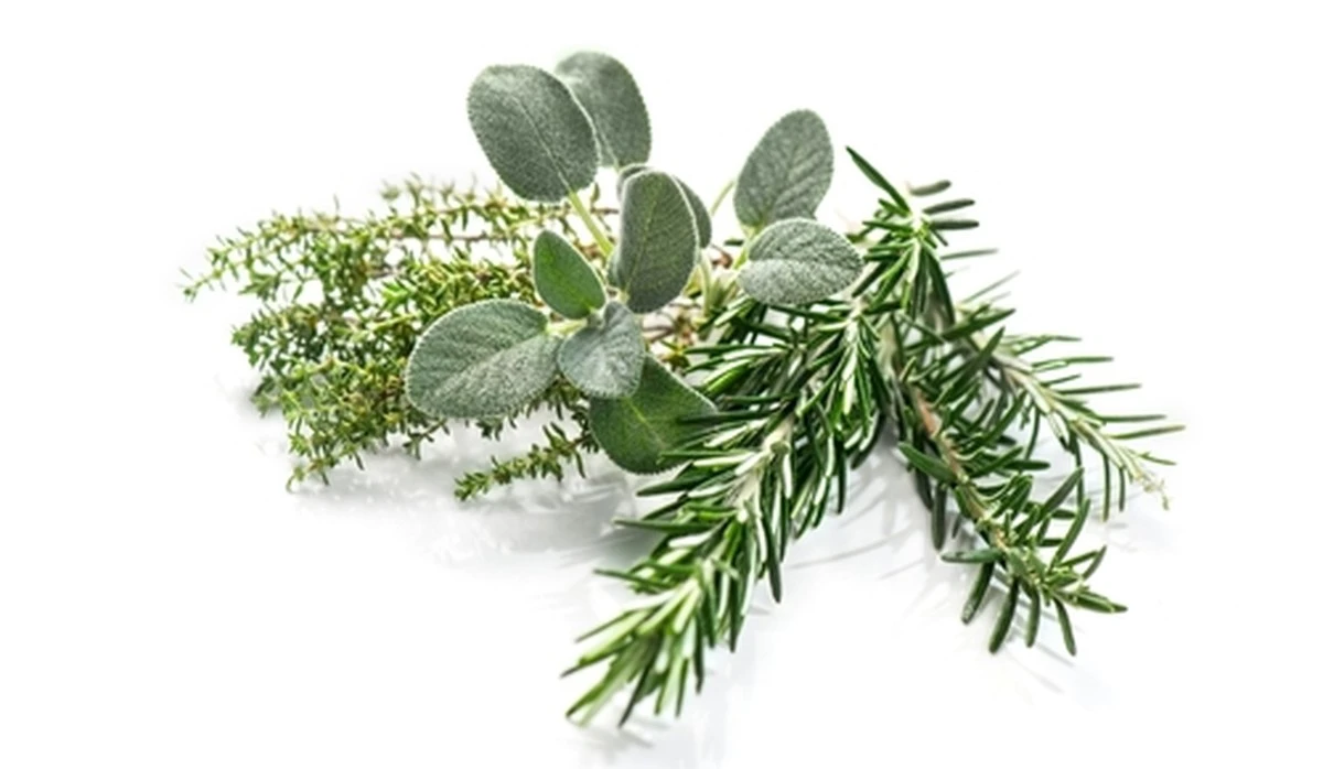 7 hierbas italianas imprescindibles para transportarte a Italia con cada bocado