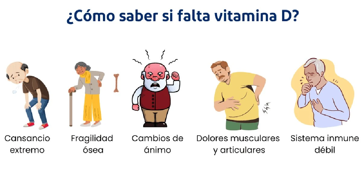 4organosvitales-extra-1.webp 4 órganos vitales que el déficit de vitamina D está destruyendo (y la demencia es solo el principio) - image 1