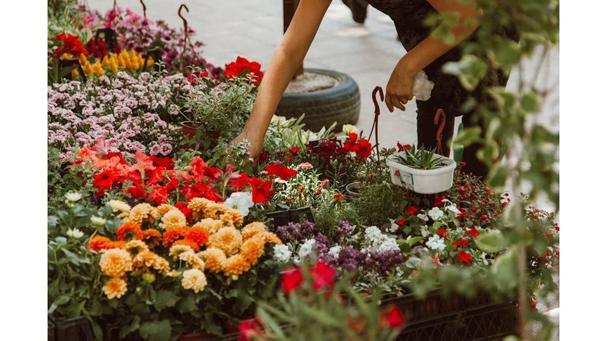 Adelántate al verano: 5 flores perennes que debes sembrar en enero para un jardín espectacular