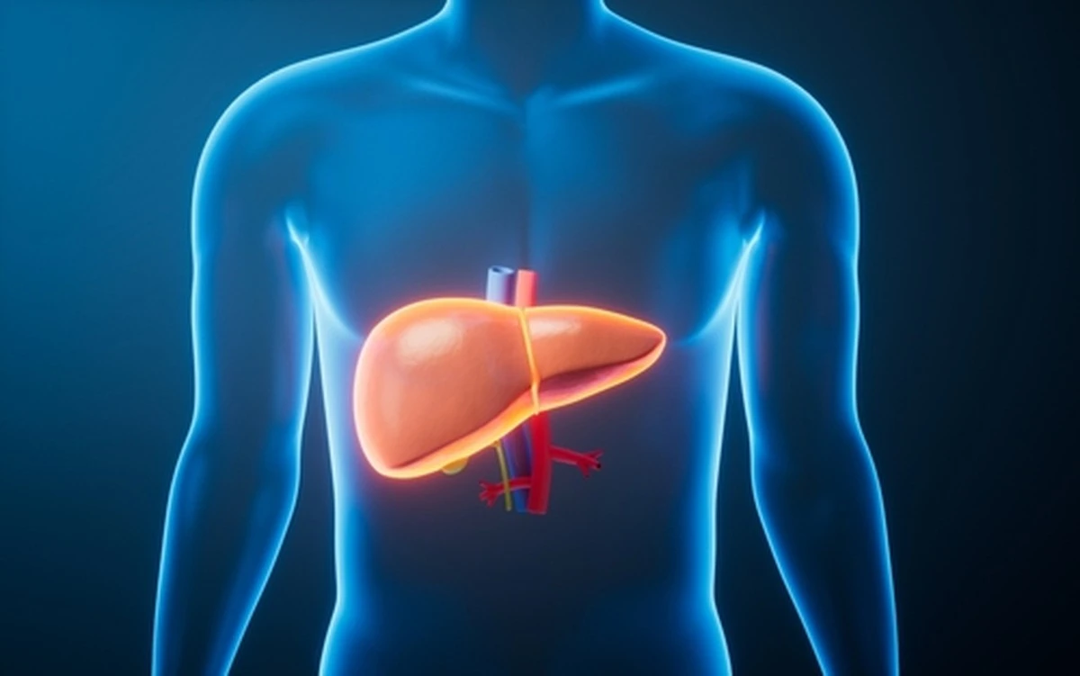 Mis hígados en dos meses: cómo reduje el exceso de grasa en un 50% sin medicamentos