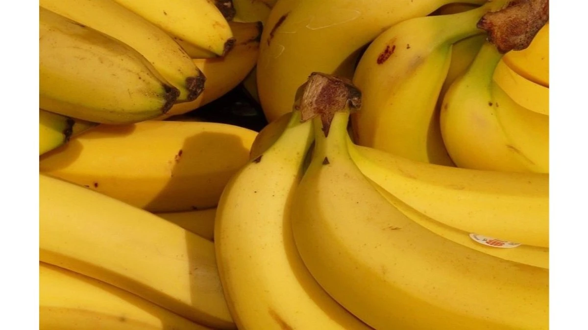 La dieta de 2-3 bananas al día cambió mi vida tras un problema digestivo