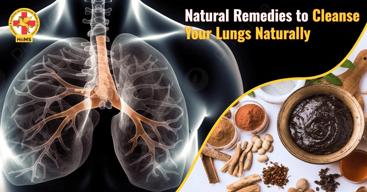 La planta que tus pulmones agradecerán tras dejar de fumar - image 1