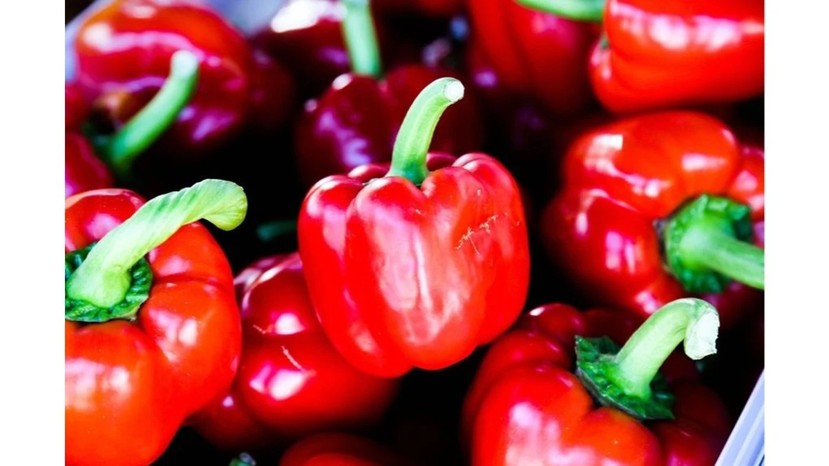 Paprika: la técnica secreta de mi vecino para obtener pimientos antes que nadie (con un ingrediente casero inesperado)