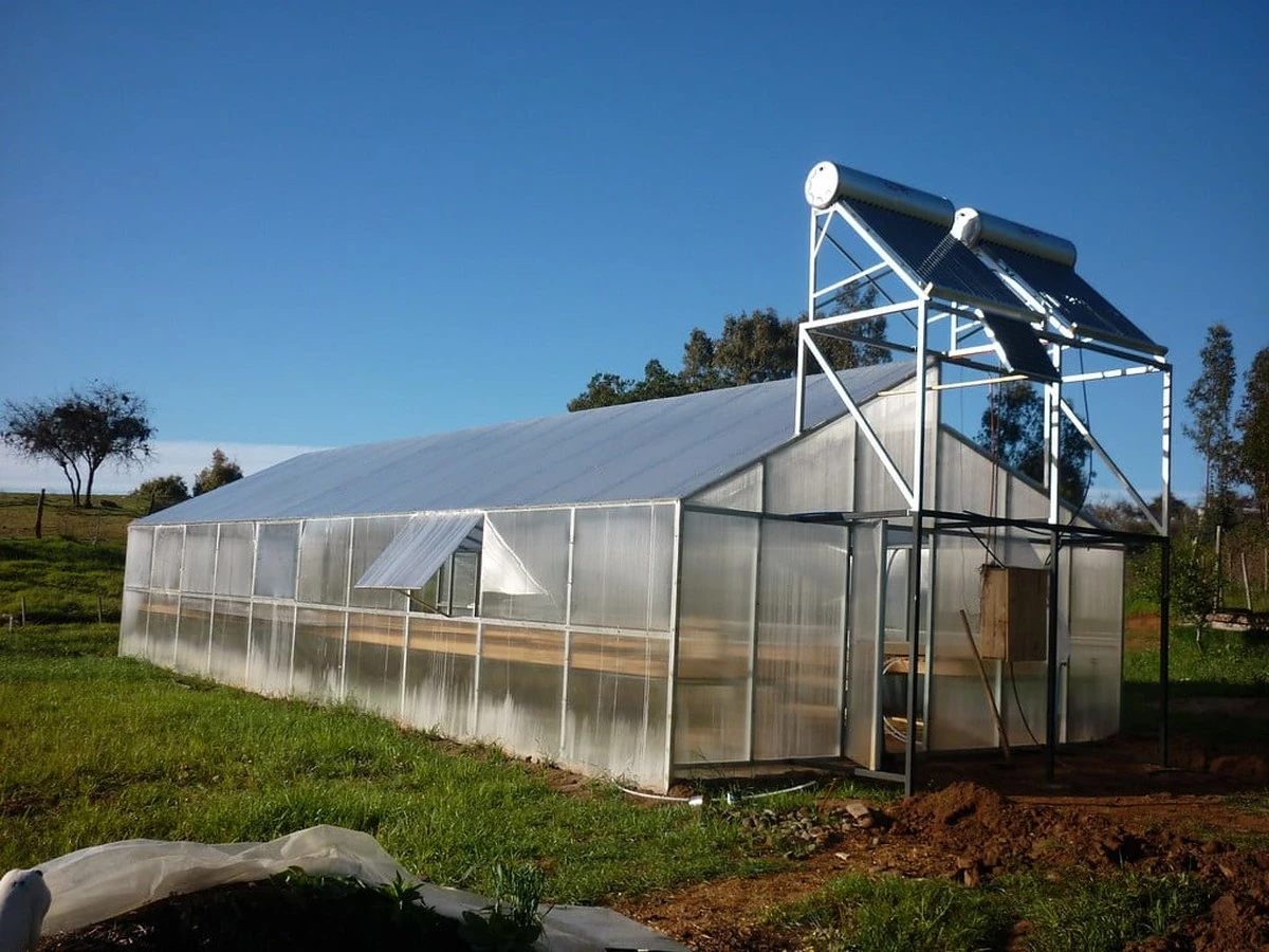 Cómo hacer que tu invernadero de policarbonato dure 15 años: esto es lo que debes evitar - image 1