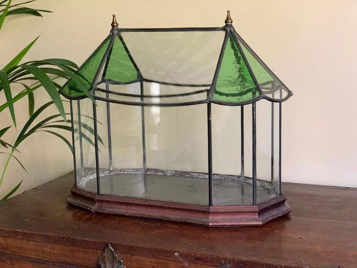 Por qué tu abuela guardaba una planta en un tarro de cristal y hoy deberías hacerlo tú también - image 1