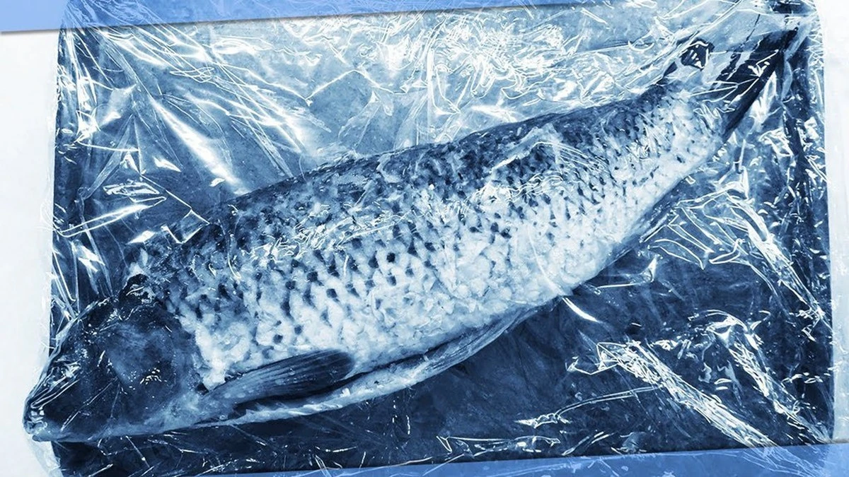 Por qué deberías evitar comprar los ejemplares más grandes en la pescadería