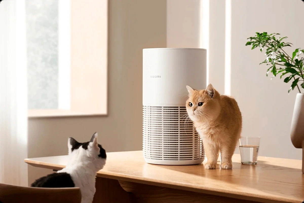 El secreto mejor guardado de los dueños de mascotas: combate el estornudo y las alergias en minutos - image 1